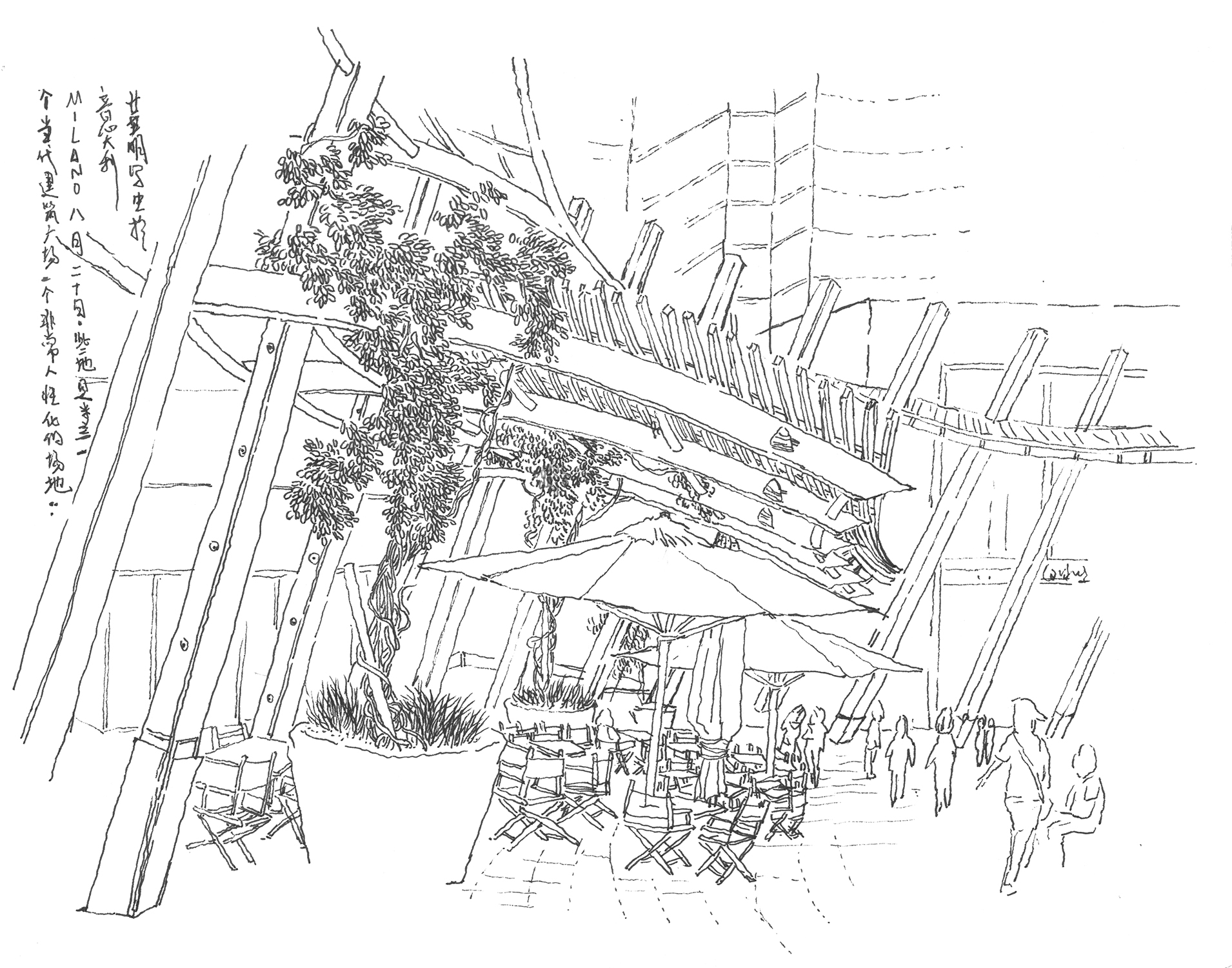 Live Sketch — image 9
