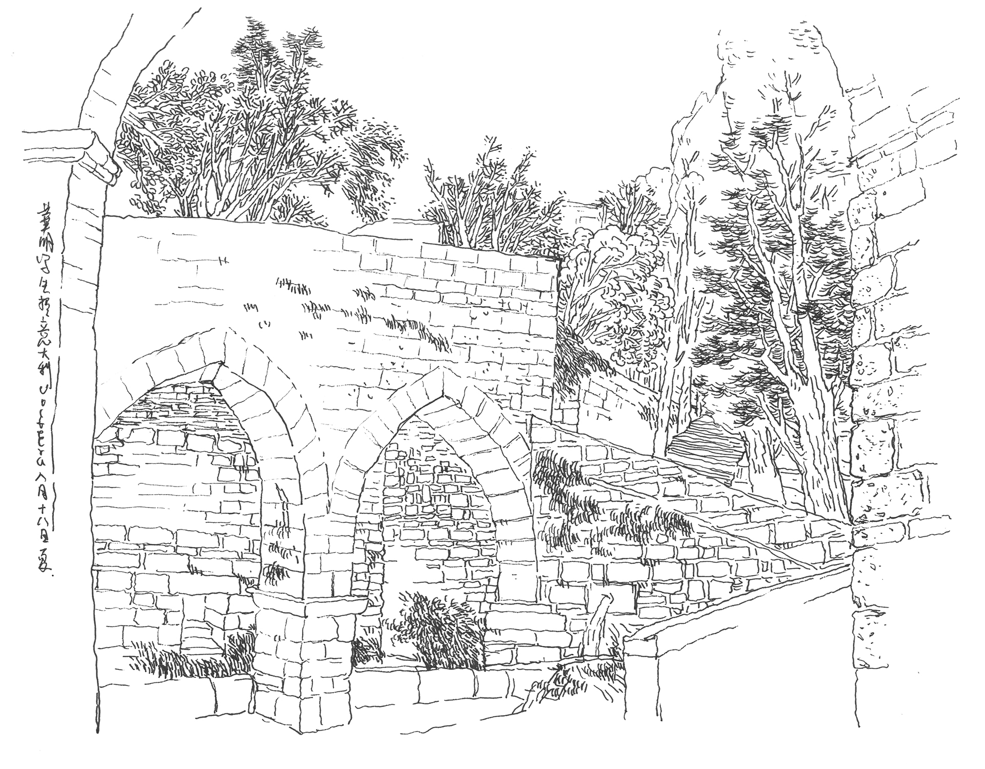 Live Sketch — image 10