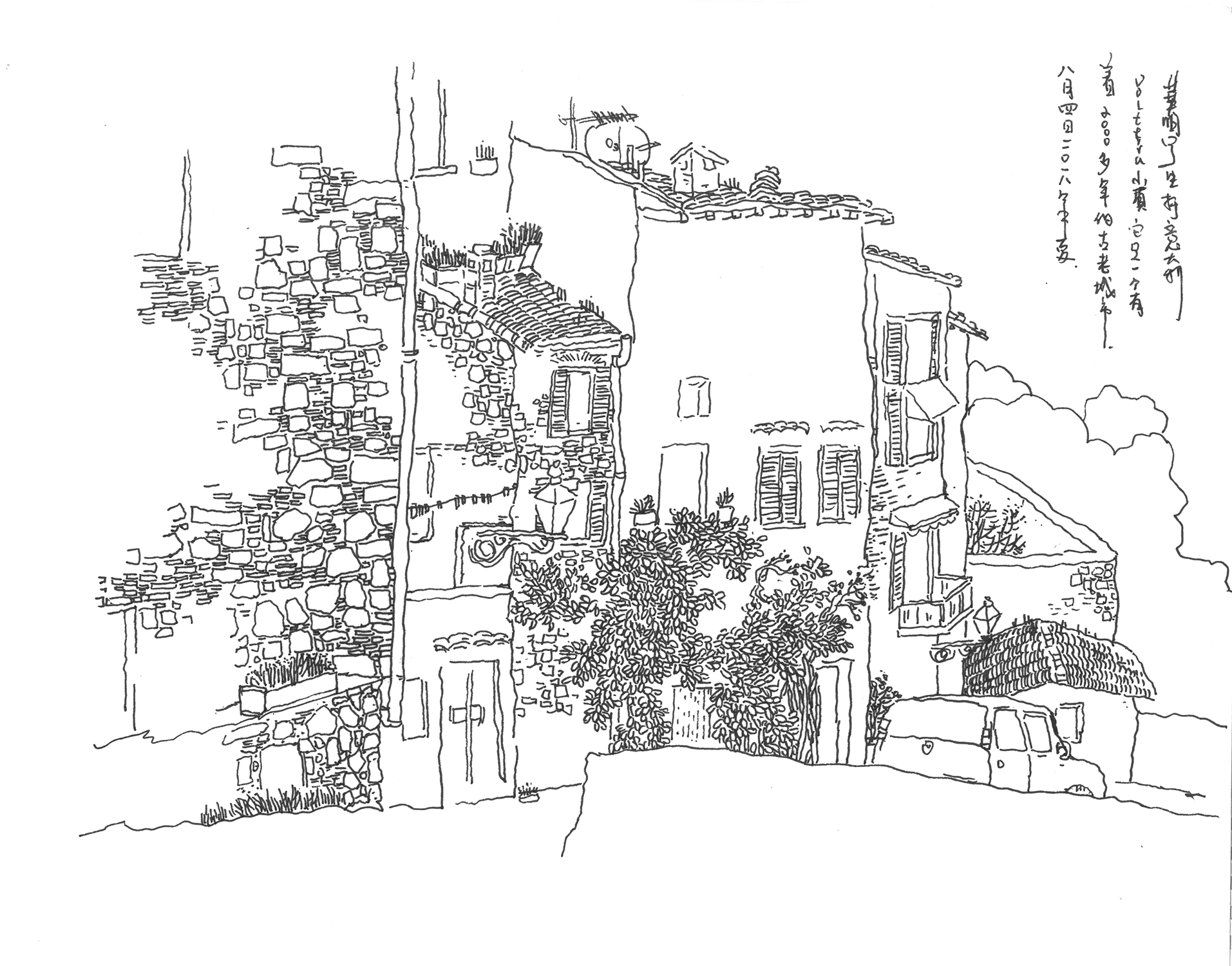 Live Sketch — image 15