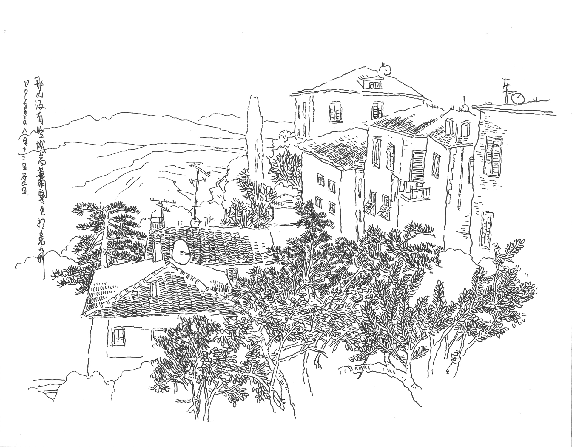 Live Sketch — image 17