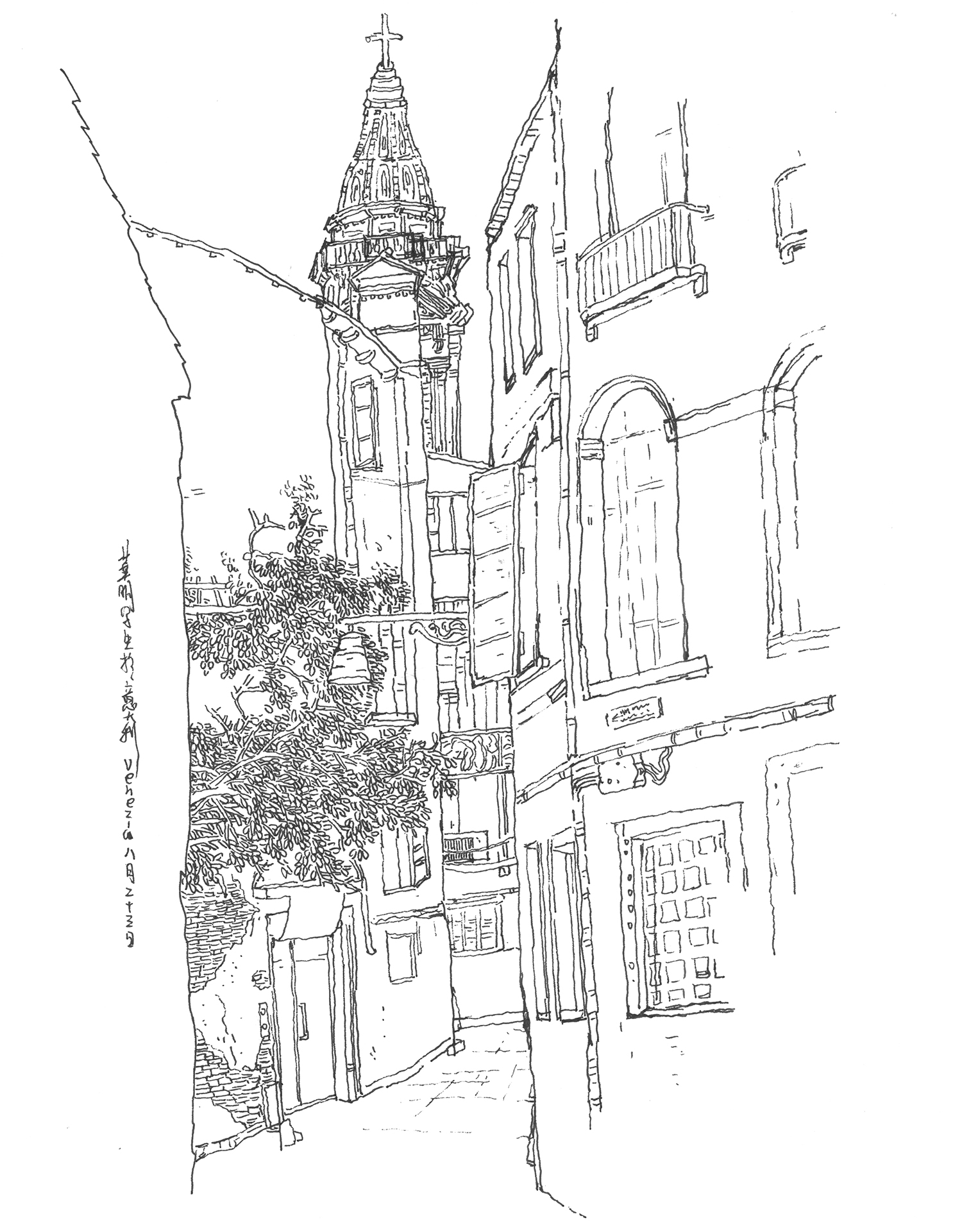 Live Sketch — image 7